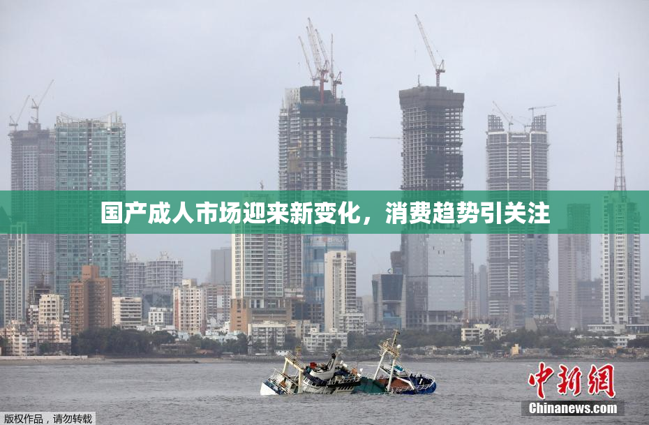 国产成人市场迎来新变化，消费趋势引关注