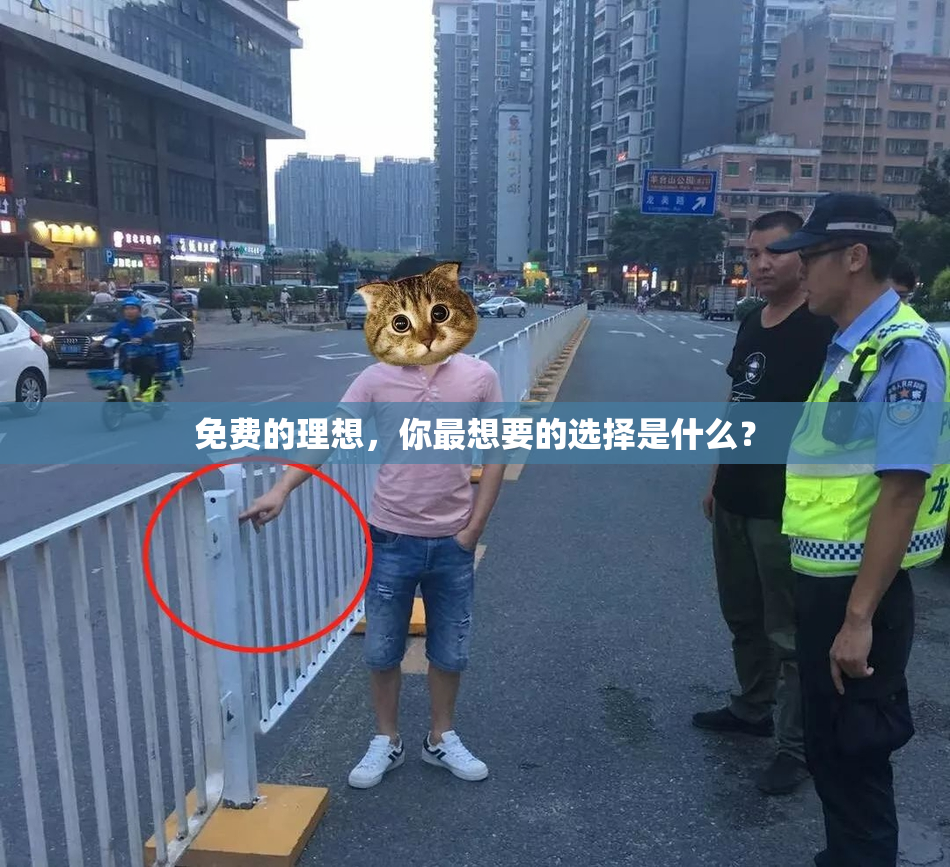 免费的理想，你最想要的选择是什么？