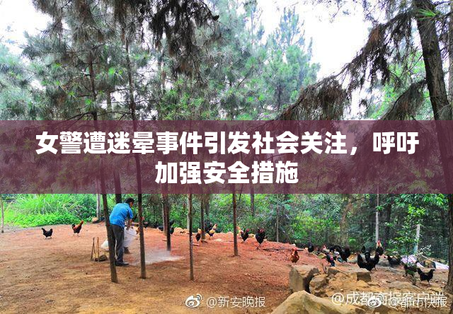 女警遭迷晕事件引发社会关注，呼吁加强安全措施