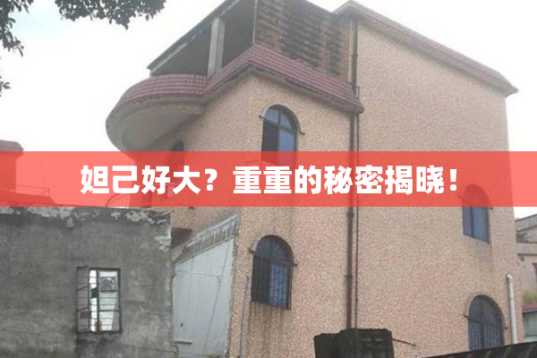 妲己好大？重重的秘密揭晓！