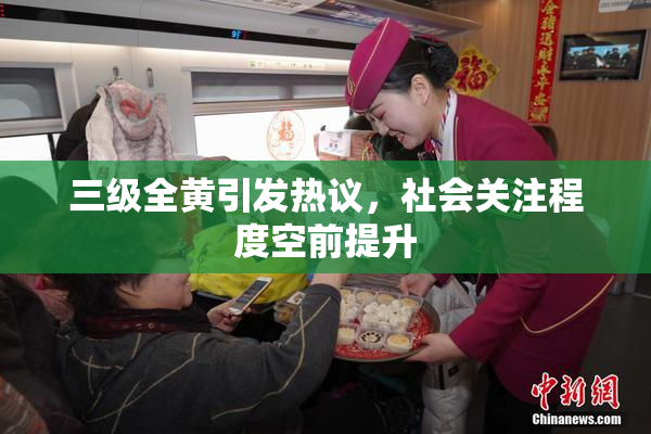 三级全黄引发热议，社会关注程度空前提升
