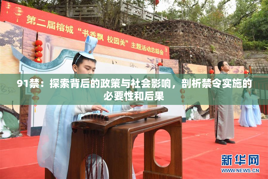 91禁：探索背后的政策与社会影响，剖析禁令实施的必要性和后果