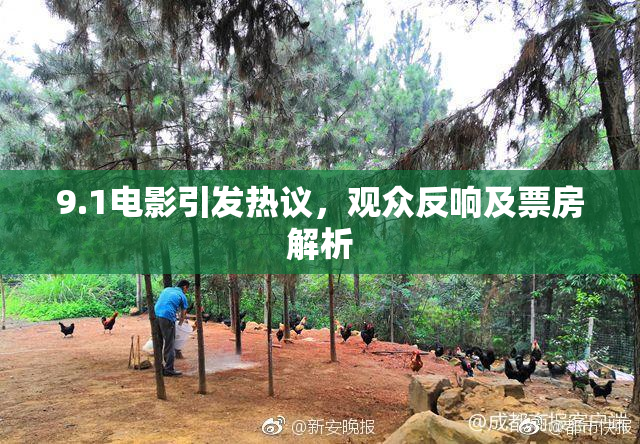 9.1电影引发热议，观众反响及票房解析