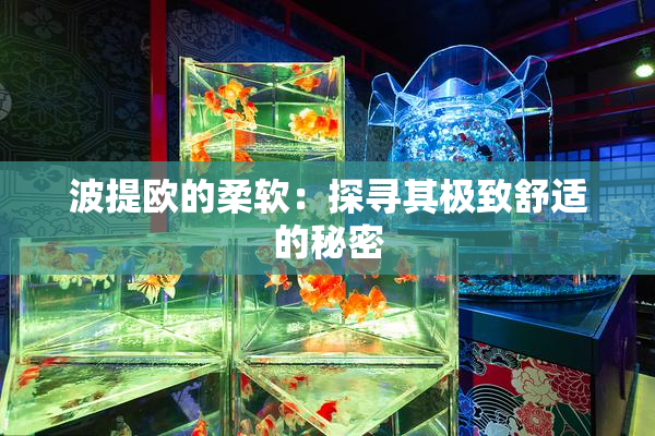 波提欧的柔软：探寻其极致舒适的秘密