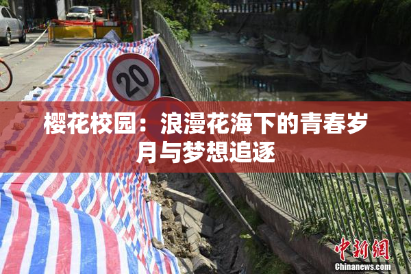 樱花校园：浪漫花海下的青春岁月与梦想追逐