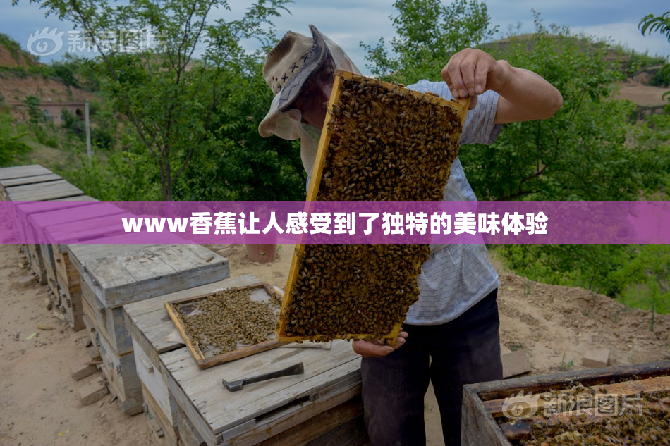 www香蕉让人感受到了独特的美味体验
