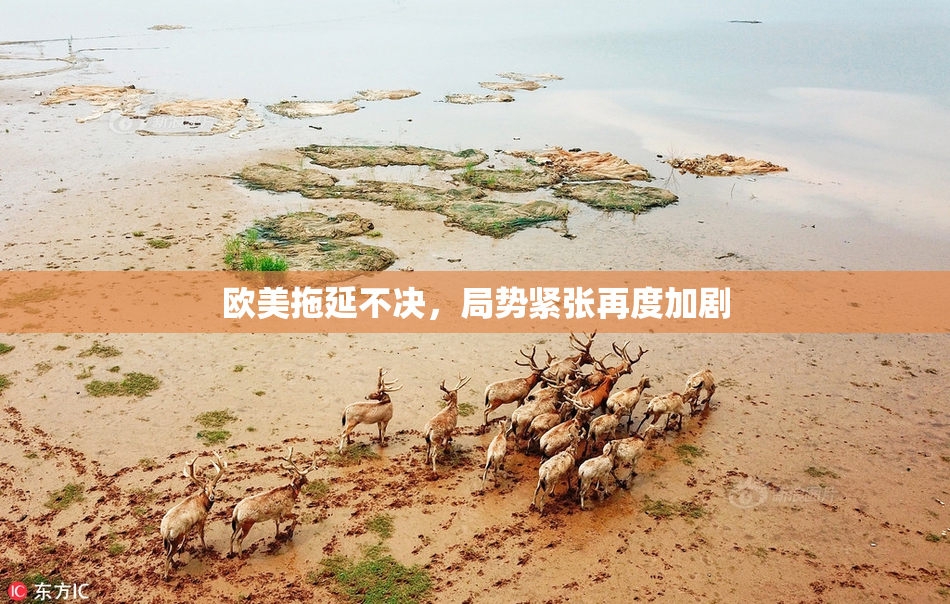 欧美拖延不决，局势紧张再度加剧
