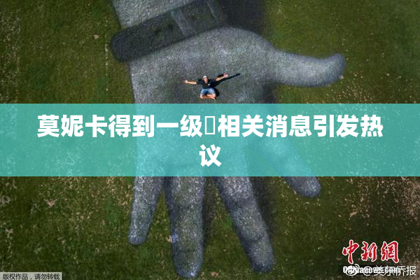 莫妮卡得到一级婬相关消息引发热议