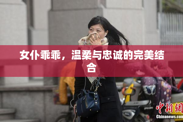 女仆乖乖，温柔与忠诚的完美结合