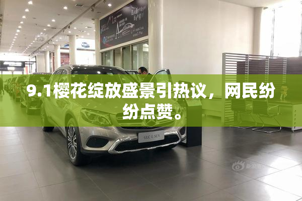 9.1樱花绽放盛景引热议，网民纷纷点赞。