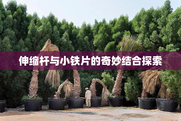 伸缩杆与小铁片的奇妙结合探索