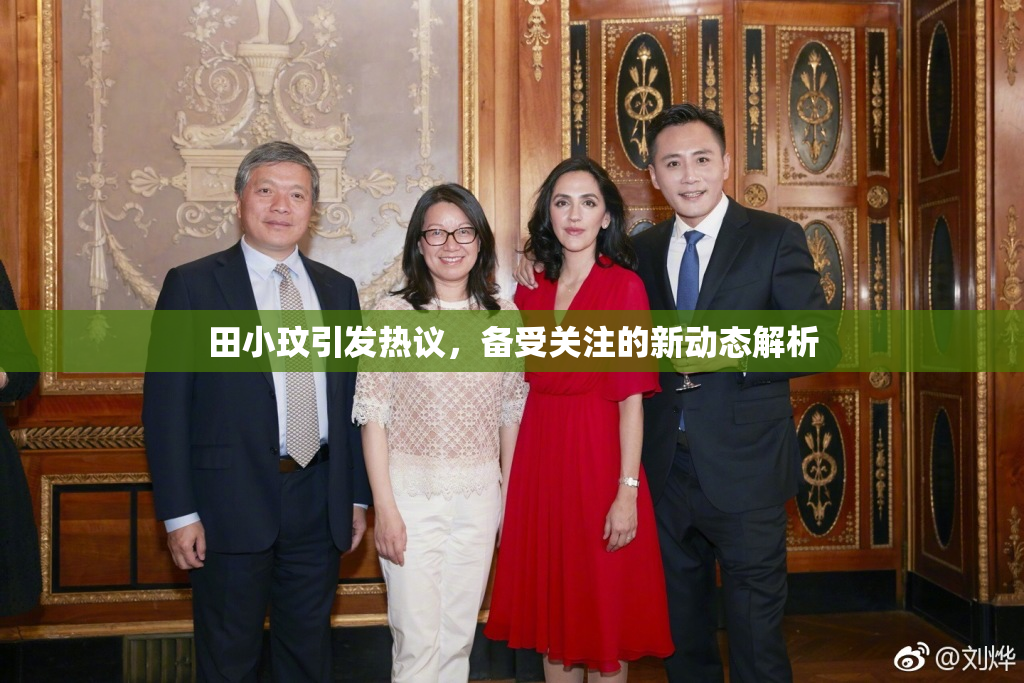 田小玟引发热议，备受关注的新动态解析