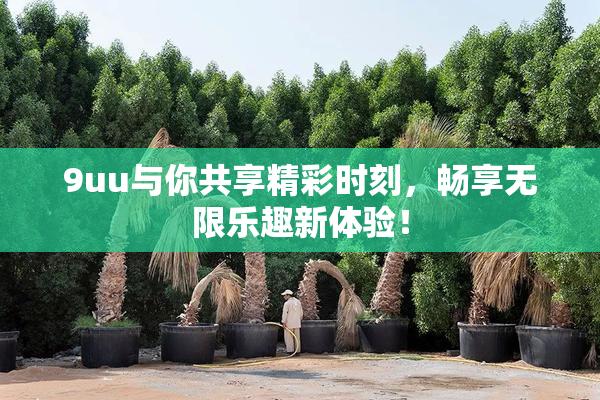 9uu与你共享精彩时刻，畅享无限乐趣新体验！