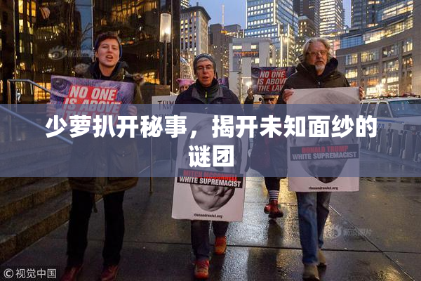 少萝扒开秘事，揭开未知面纱的谜团