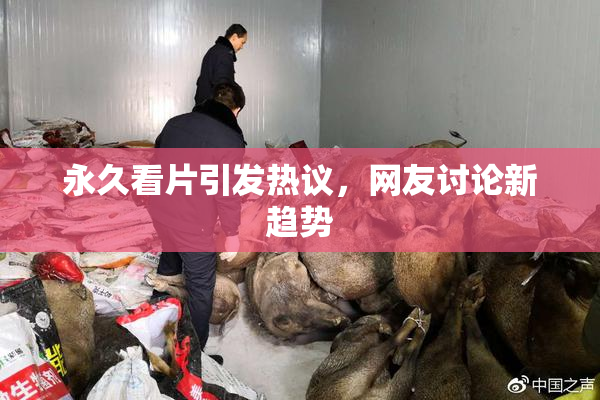 永久看片引发热议，网友讨论新趋势
