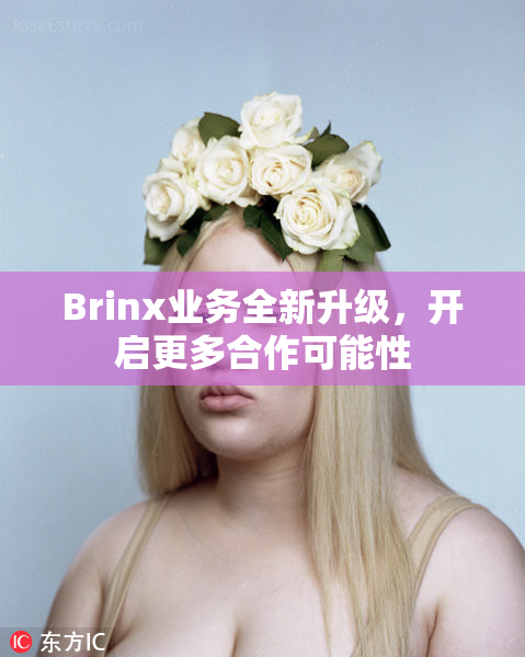 Brinx业务全新升级，开启更多合作可能性