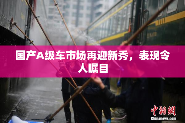 国产A级车市场再迎新秀，表现令人瞩目