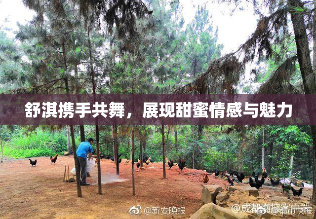 舒淇携手共舞，展现甜蜜情感与魅力