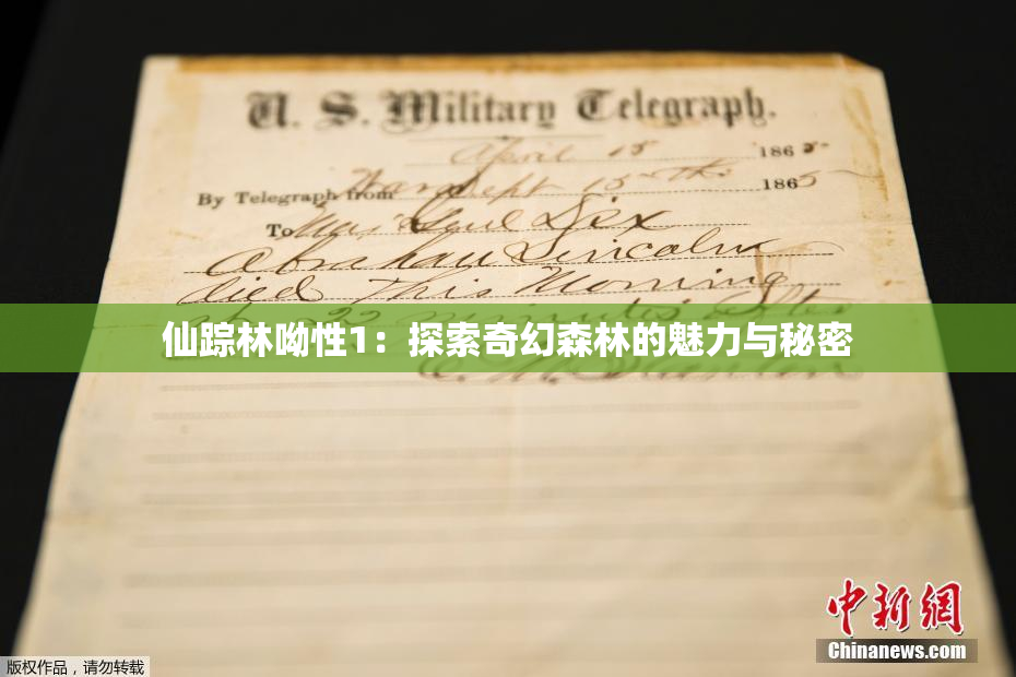 仙踪林呦性1：探索奇幻森林的魅力与秘密