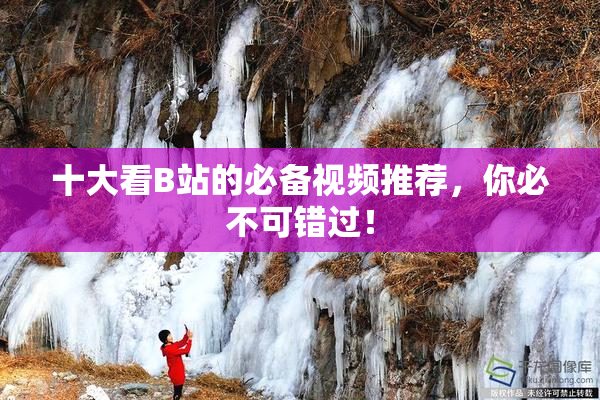 十大看B站的必备视频推荐，你必不可错过！