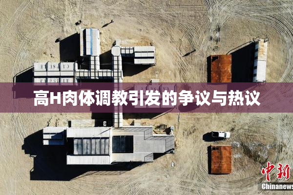 高H肉体调教引发的争议与热议