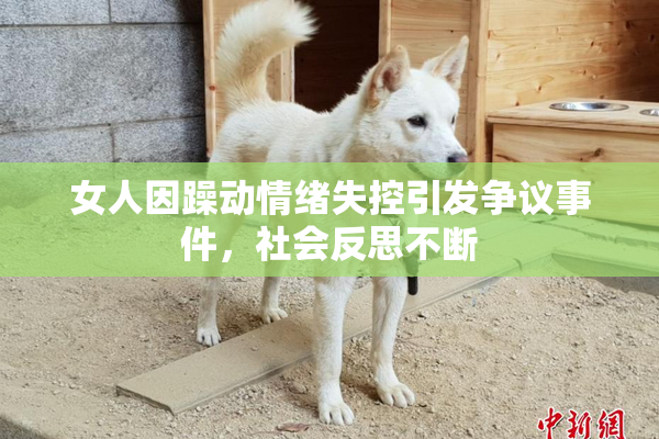 女人因躁动情绪失控引发争议事件，社会反思不断