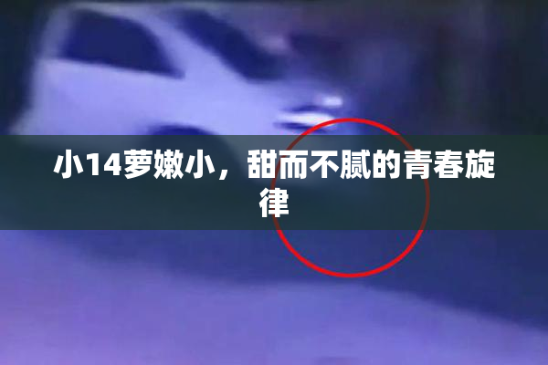 小14萝嫩小，甜而不腻的青春旋律