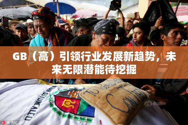 GB（高）引领行业发展新趋势，未来无限潜能待挖掘