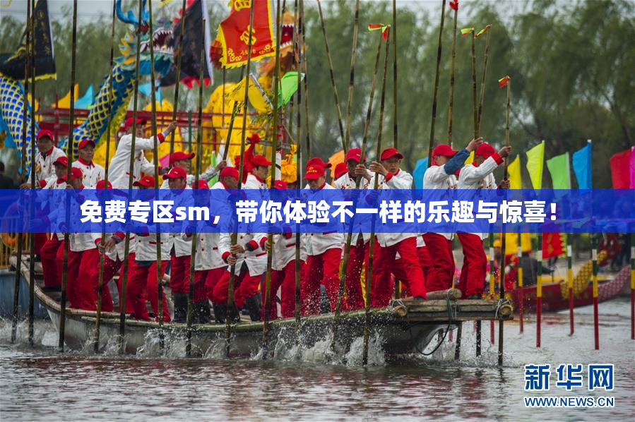 免费专区sm，带你体验不一样的乐趣与惊喜！