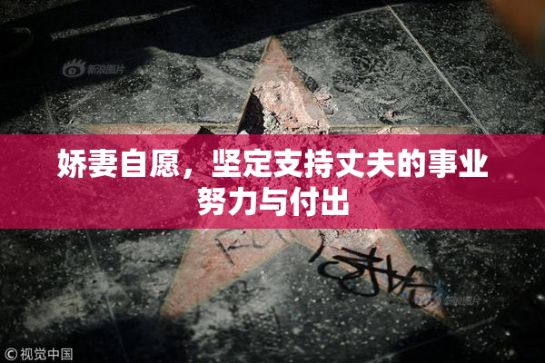 娇妻自愿，坚定支持丈夫的事业努力与付出