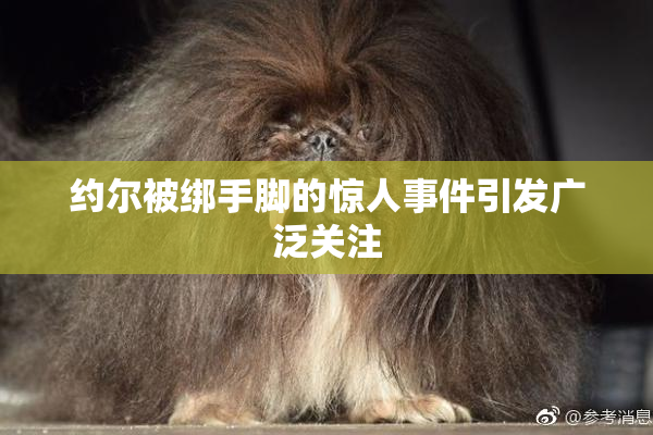 约尔被绑手脚的惊人事件引发广泛关注