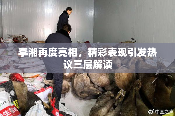 李湘再度亮相，精彩表现引发热议三层解读