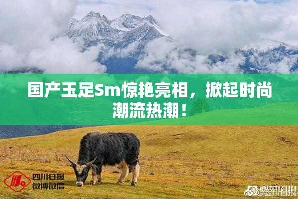 国产玉足Sm惊艳亮相，掀起时尚潮流热潮！