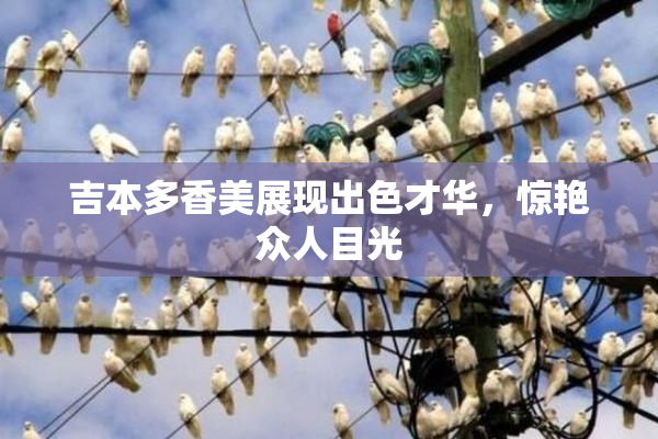 吉本多香美展现出色才华，惊艳众人目光