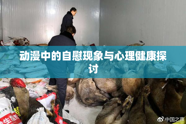 动漫中的自慰现象与心理健康探讨