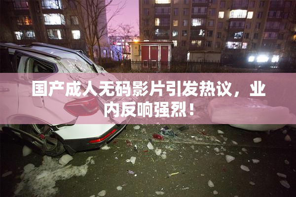 国产成人无码影片引发热议，业内反响强烈！