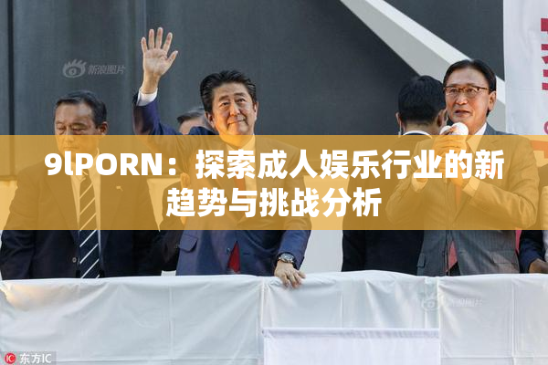 9lPORN：探索成人娱乐行业的新趋势与挑战分析