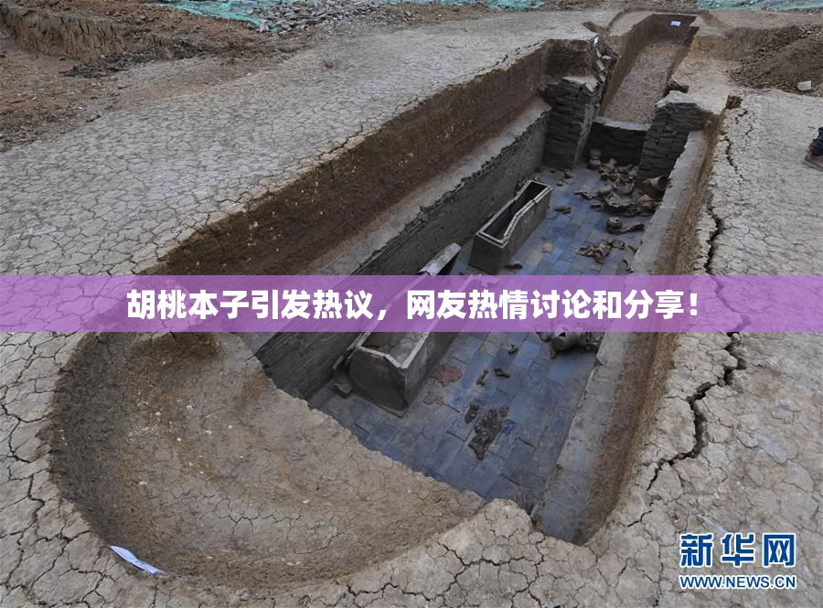 胡桃本子引发热议，网友热情讨论和分享！