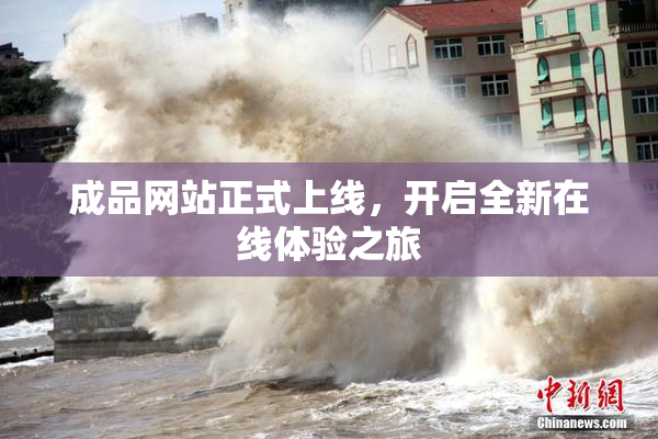 成品网站正式上线，开启全新在线体验之旅