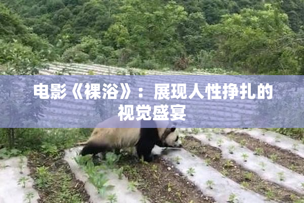 电影《裸浴》：展现人性挣扎的视觉盛宴