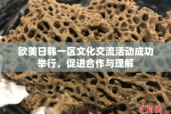 欧美日韩一区文化交流活动成功举行，促进合作与理解