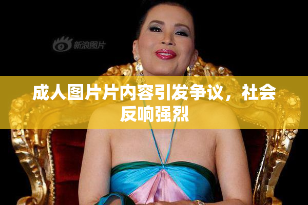 成人图片片内容引发争议，社会反响强烈