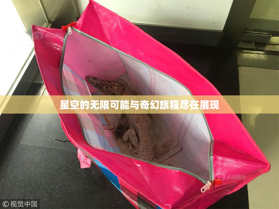 星空的无限可能与奇幻旅程尽在展现