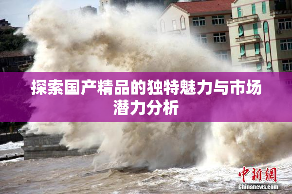 探索国产精品的独特魅力与市场潜力分析