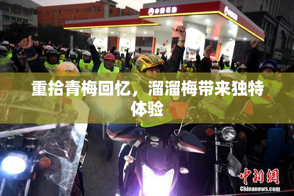 重拾青梅回忆，溜溜梅带来独特体验