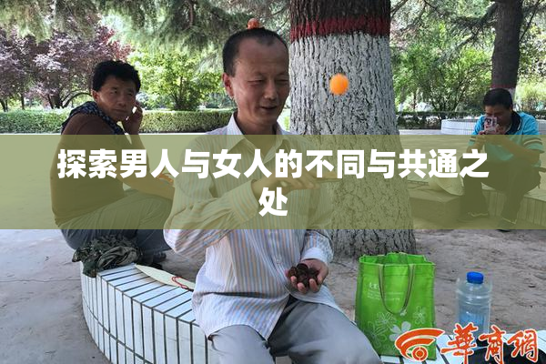 探索男人与女人的不同与共通之处