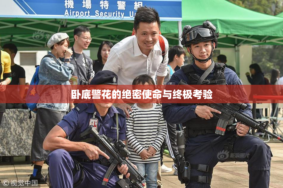 卧底警花的绝密使命与终极考验