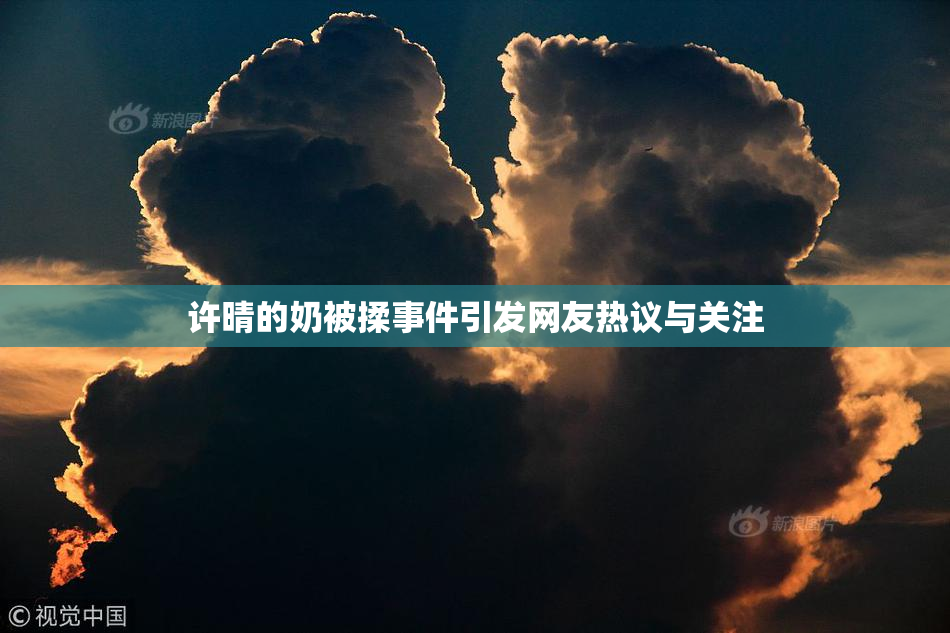 许晴的奶被揉事件引发网友热议与关注