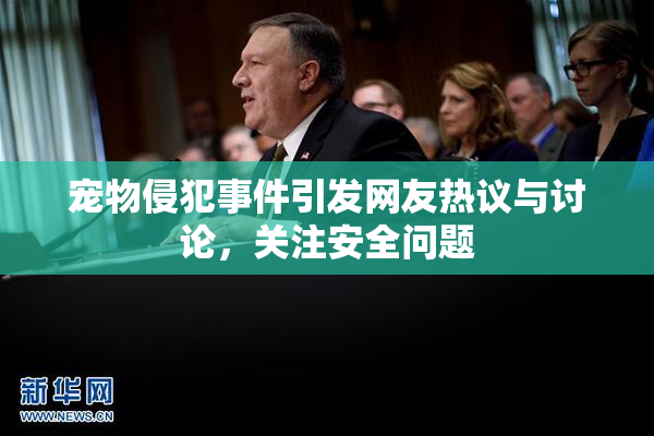 宠物侵犯事件引发网友热议与讨论，关注安全问题