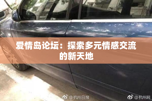 爱情岛论坛：探索多元情感交流的新天地